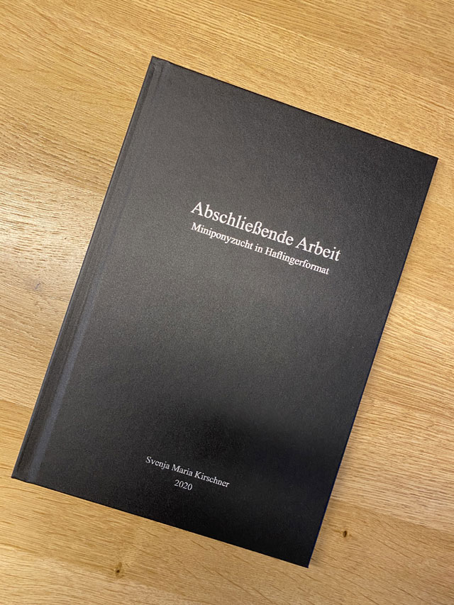 Abschlussarbeit Svenja Maria Kirschner 2020
