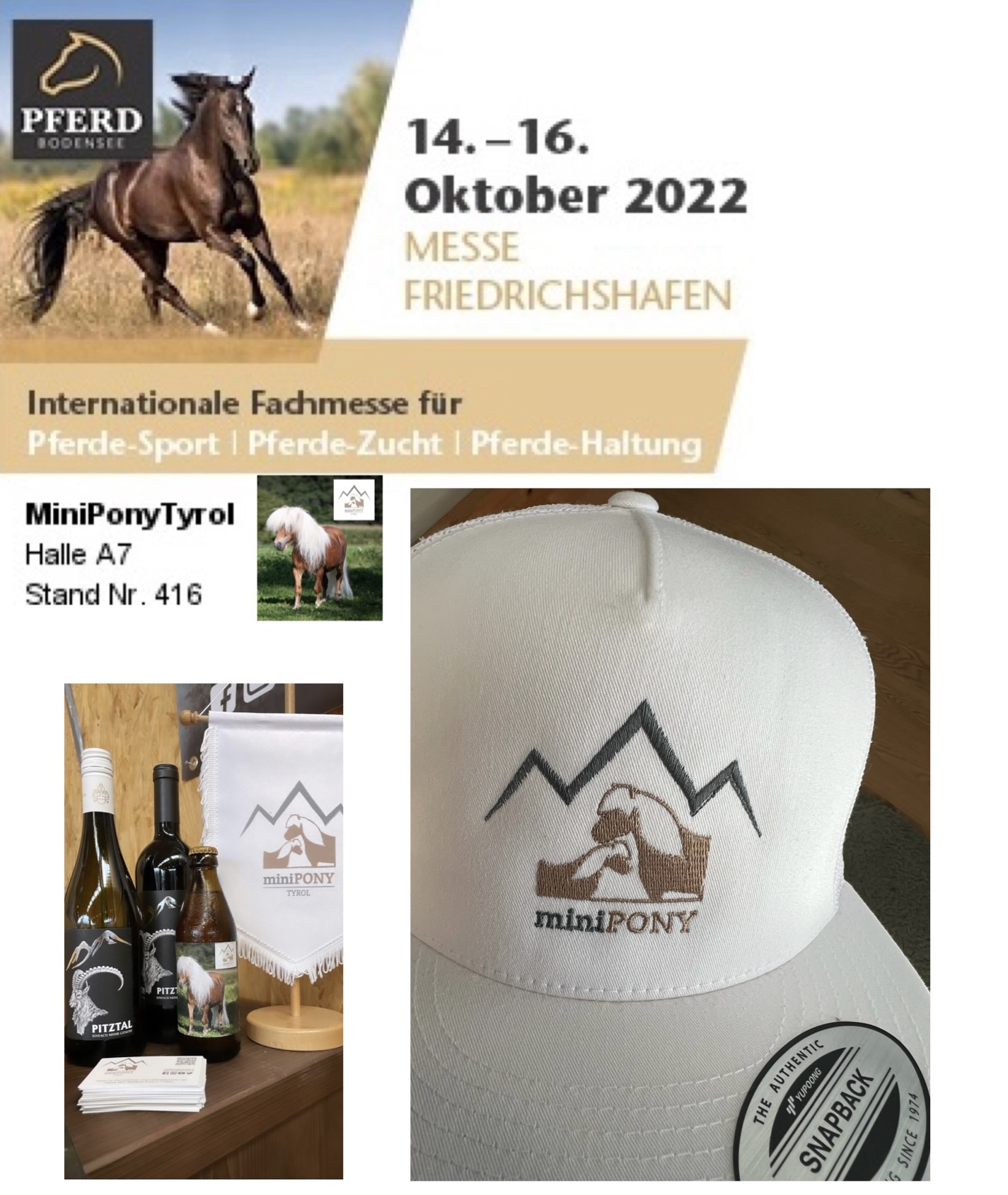 MiniPonyTyrol auf der Pferd Bodensee 2022
