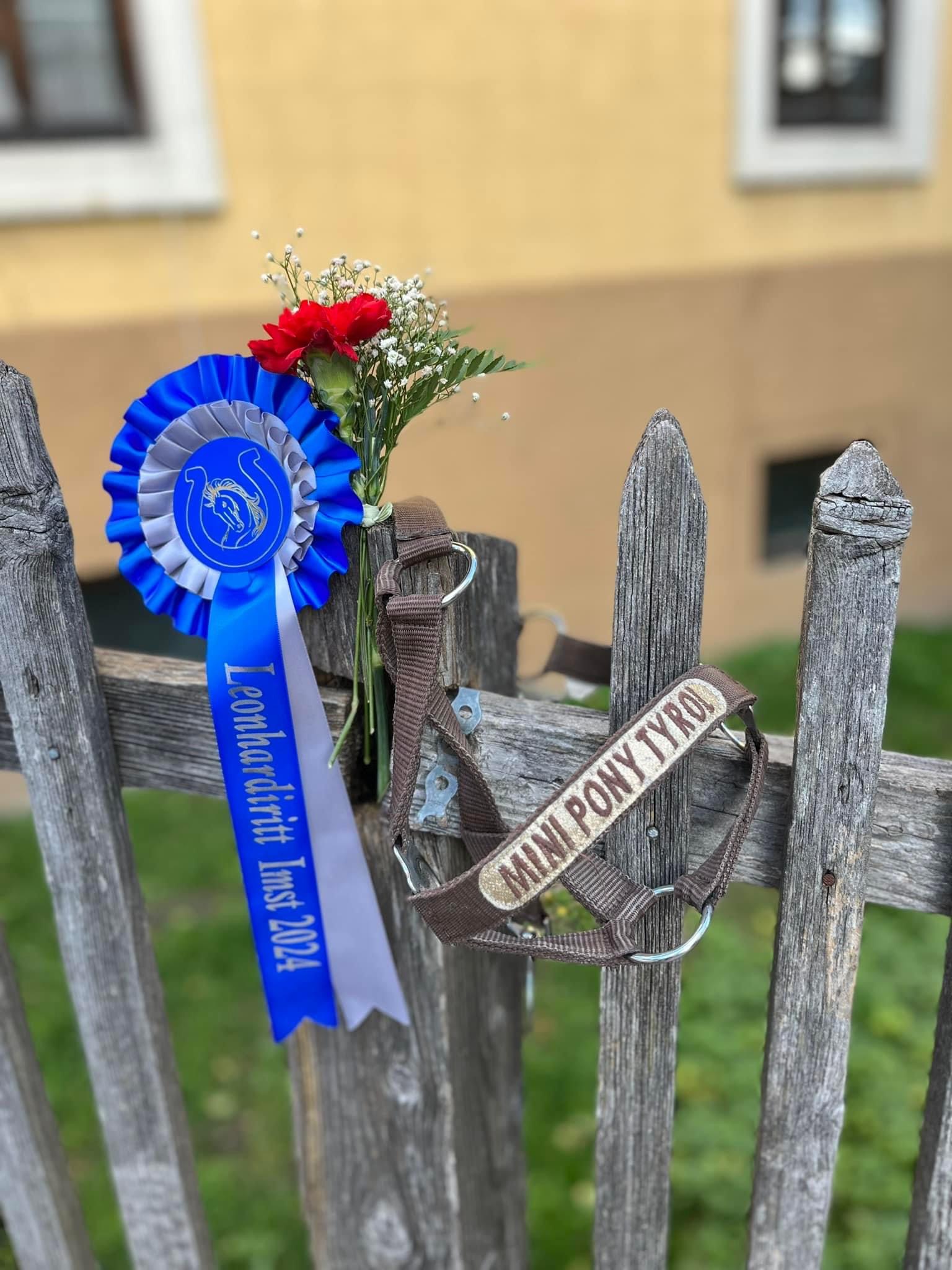 Oberländer Leonhardiritt Imst 26 Oktober 2024