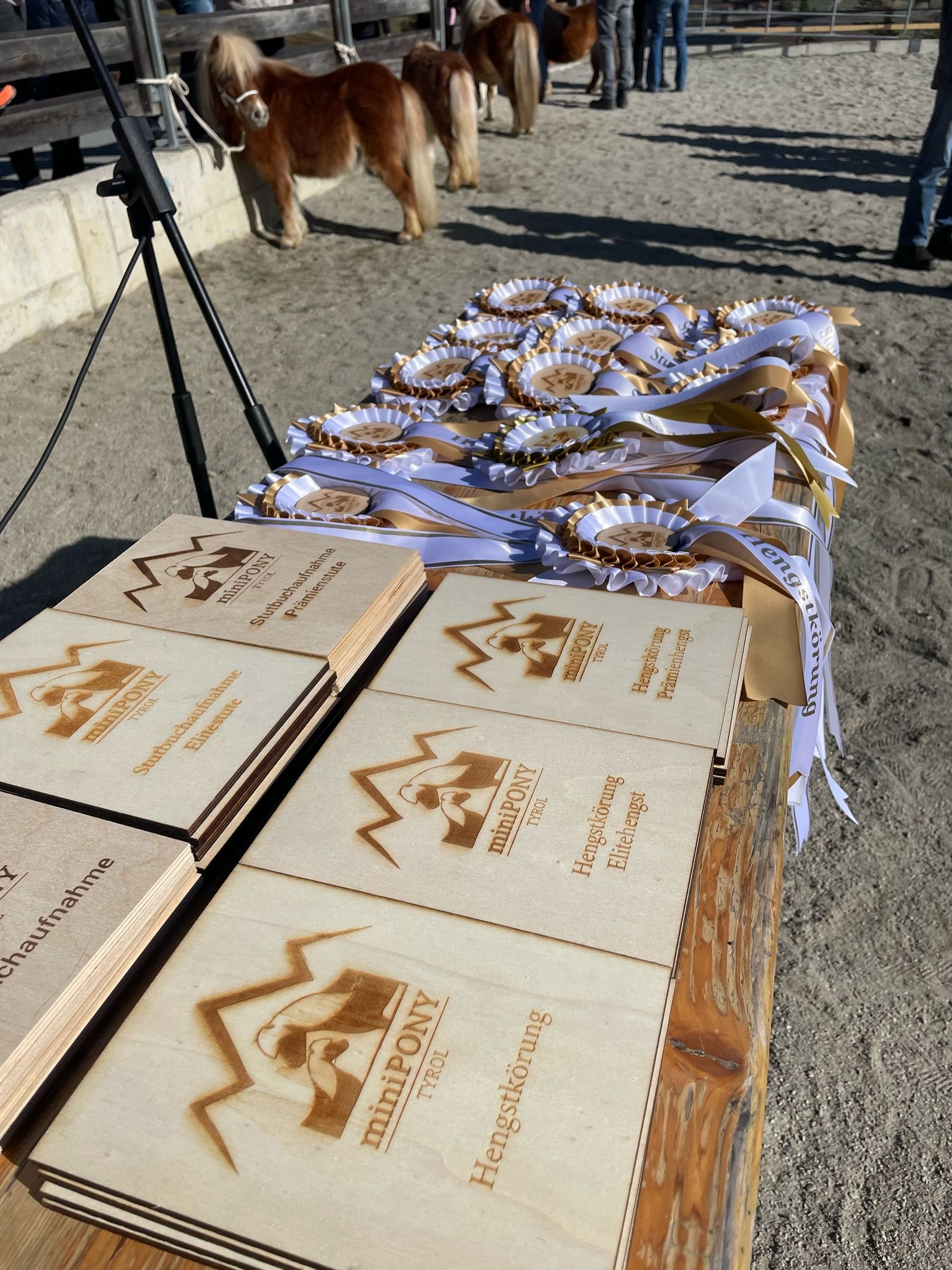 ÖZP/MiniPonyTyrol Stutbuchaufnahme-Hengstkörung in Wenns 22.03.2025