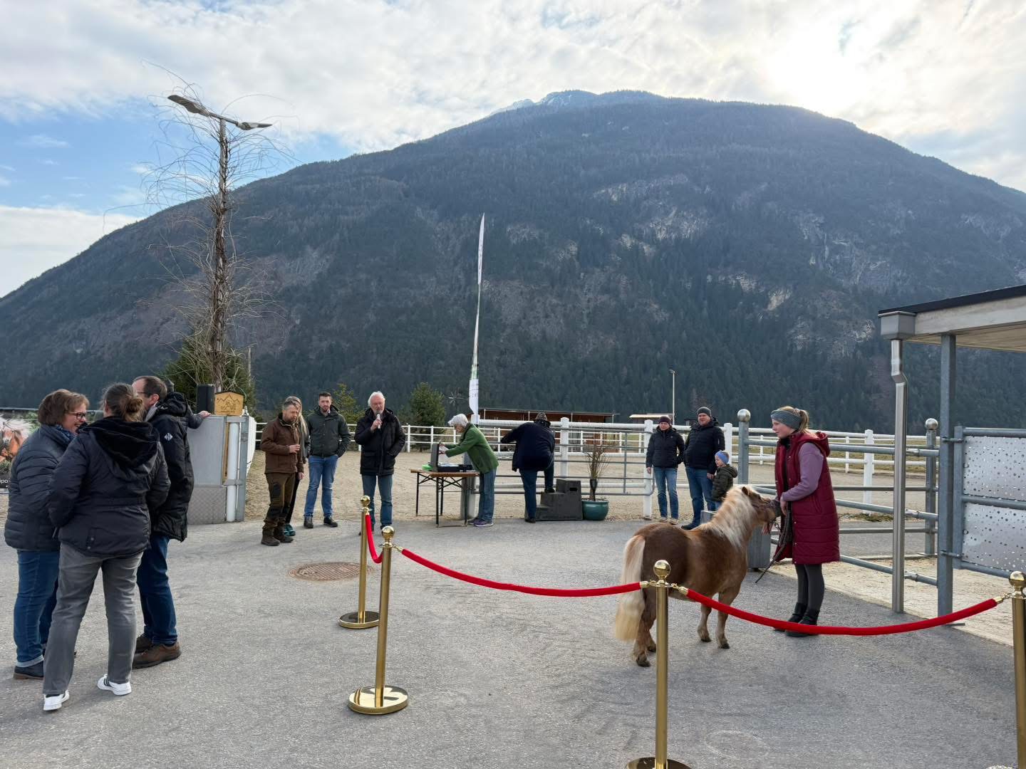 21.03.2026MiniPonyTyrol Stutbuchaufnahme/Hengstkörung. Herzlichen Glückwunsch allen Teilnehmenden . Danke an alle Besucherinnen,HelferInnen,den ÖZP und unseren Vereinstierarzt. Besonders hat uns der Besuch von Züchterkollegen anderer Pferderassen gefreut.